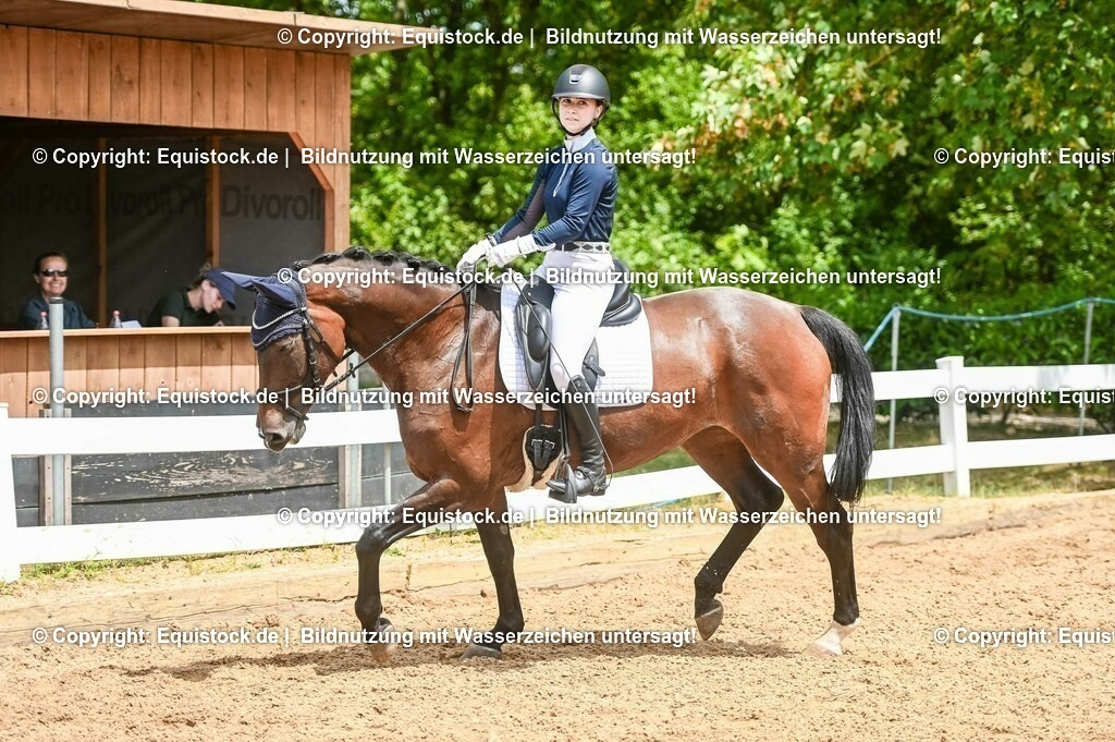 20230716_03_Dressurprfg. Kl.L - Tr._0262 | equistock