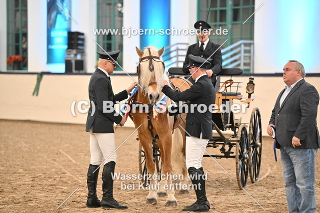Neustart_974_5350 | Björn Schroeder Pferdefotografie