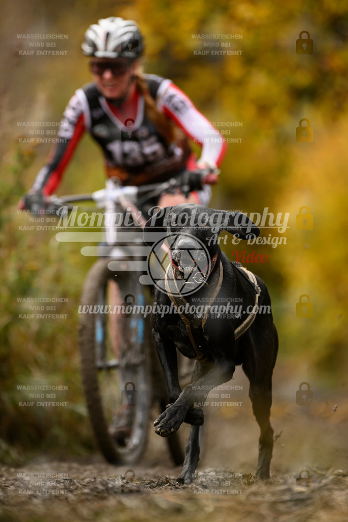 MompixPhotography_ICF_WC_2024_SA_Bike_-144 | PayLife