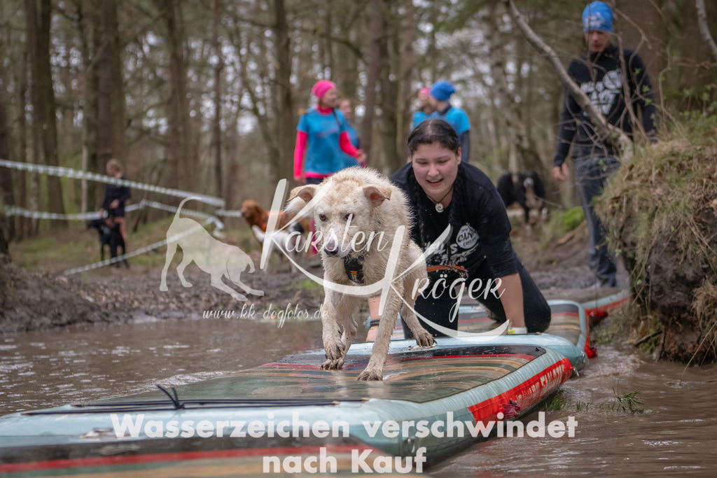 1119_ZZ91862-Bearbeitet | kk-dogfotos