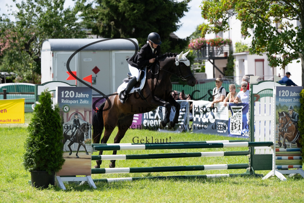 A7V04345 | Pferdefotograf