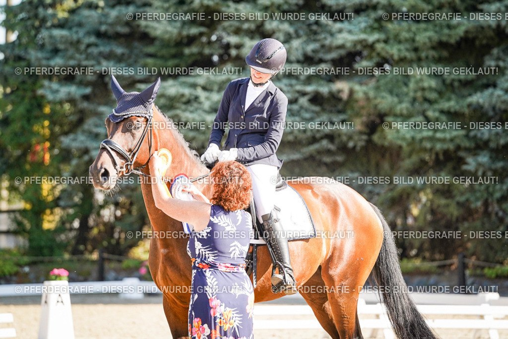 DSC00100 | Pferdegrafie