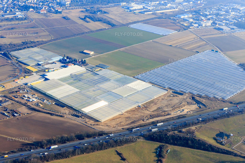 Luftbild: Riesiege Gewächshausreihen von Trübenbach Gemüsejungpflanzen GmbH & Co. KG in Bickenbach im Bundesland Hessen in Deutschland. Foto: IMG_096595.jpg vom 14.02.2017 durch Werner Riehm/FLY-FOTO.deGemüse-Jungpflanzen - Pflanzenhof Trübenbach