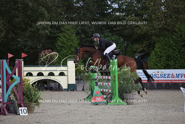 1J2A9761Klas-Kristoff Kudlinski_ Steendieks Catching Fire BE_ Kn914_ Havekost | Foto- und Videografie für alles rund ums Pferd. Hochwertige Bilder und Videos vom Spring- und Dressurreiten, Voltigieren & mehr. Jetzt aktuelle Veranstaltungen und Preise im Shop ansehen. - Realisiert mit Pictrs.com