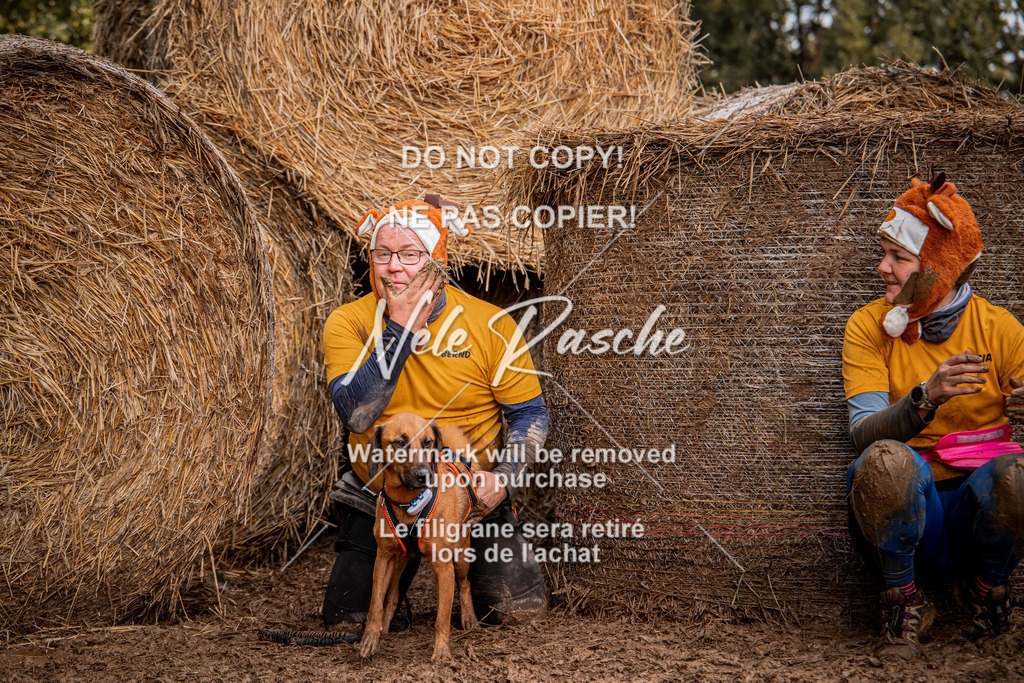 nelerasche_Hunsrück_So09-11_392 | nelerasche