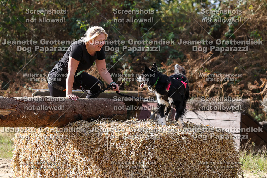 Dog Paparazzi - Strongdog 10-25-5810 | Dog Paparazzi Jeanette Grottendiek Fotografie & Videografie - Realisiert mit Pictrs.com