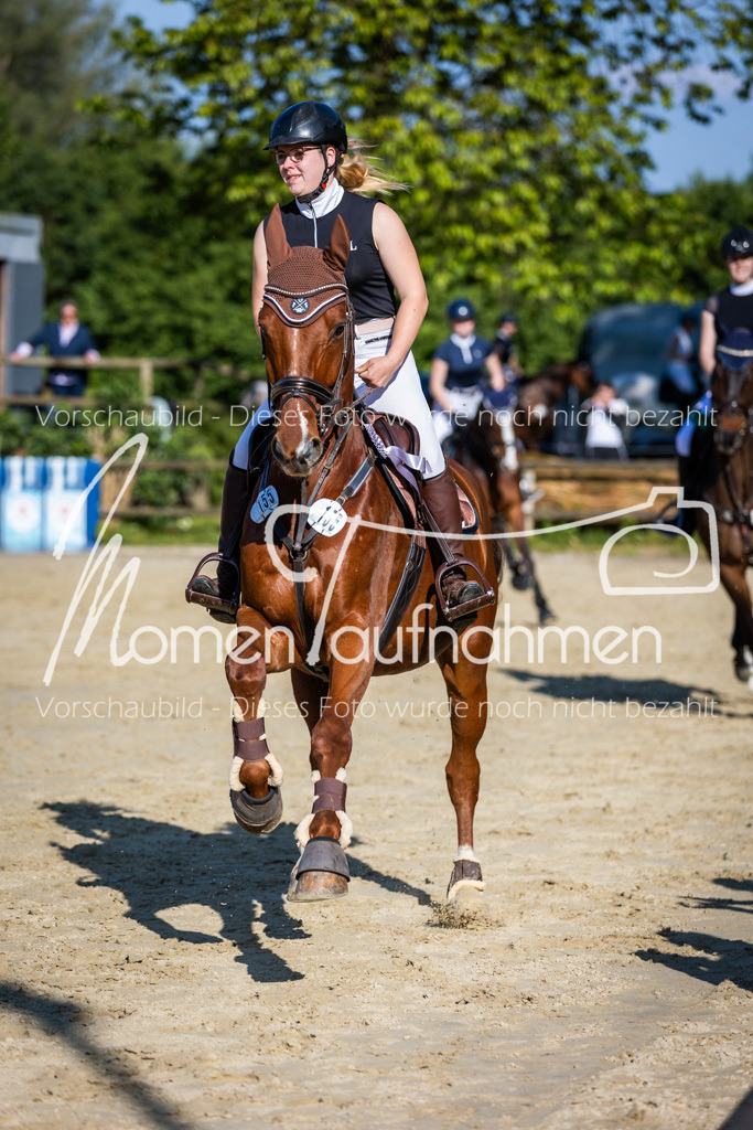 Donop24-ASpr-134 | MomenTaufnahmen Pferdesportfotos