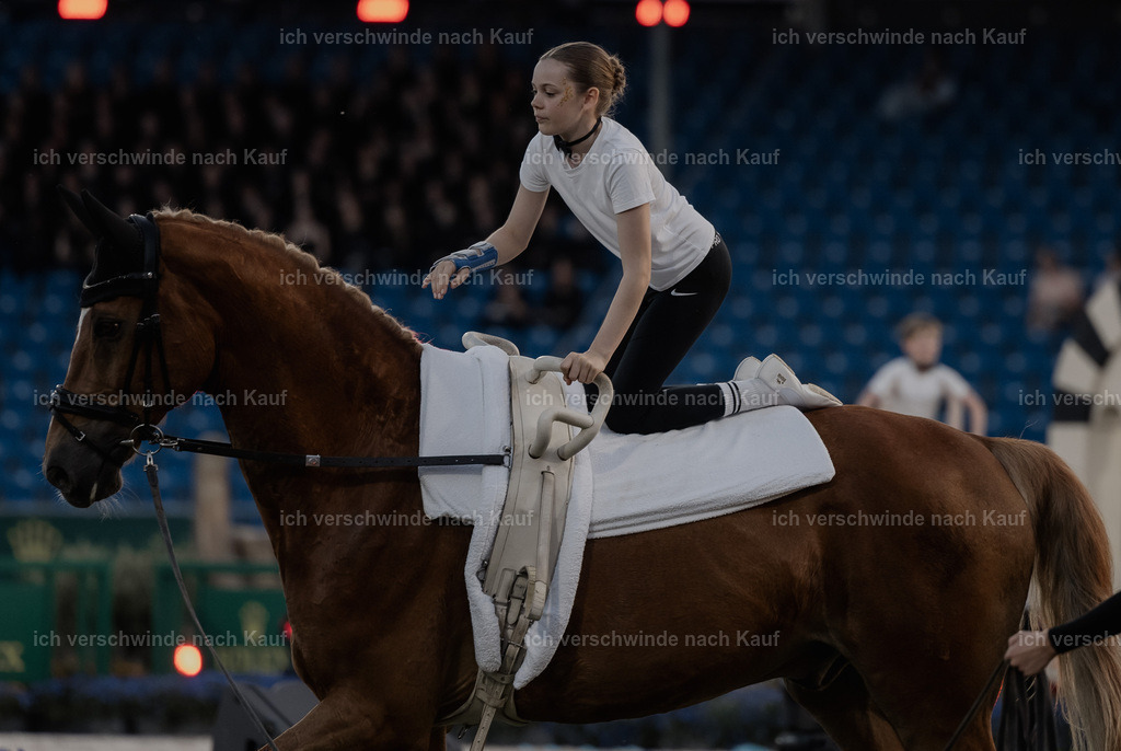 TSCHIO26_PferdundSinfonie_StoibphotographyTSCHIO26_Pferd-Sinfonie_Stoibphotography_AM10953.CR3.jpg | working equitationturnier fotograf videograf stoibphotography marixx film working equitation deutschland reitsport turnierfotografie eventfotografie equestrian events