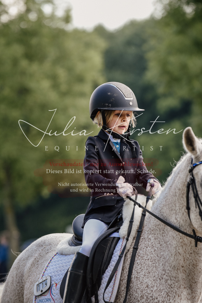 DSC_8337 | Pferde- und Turnierfotografie in Westsachsen. Pferdeportraits, Auftragszeichnungen und intuitive Kunst.