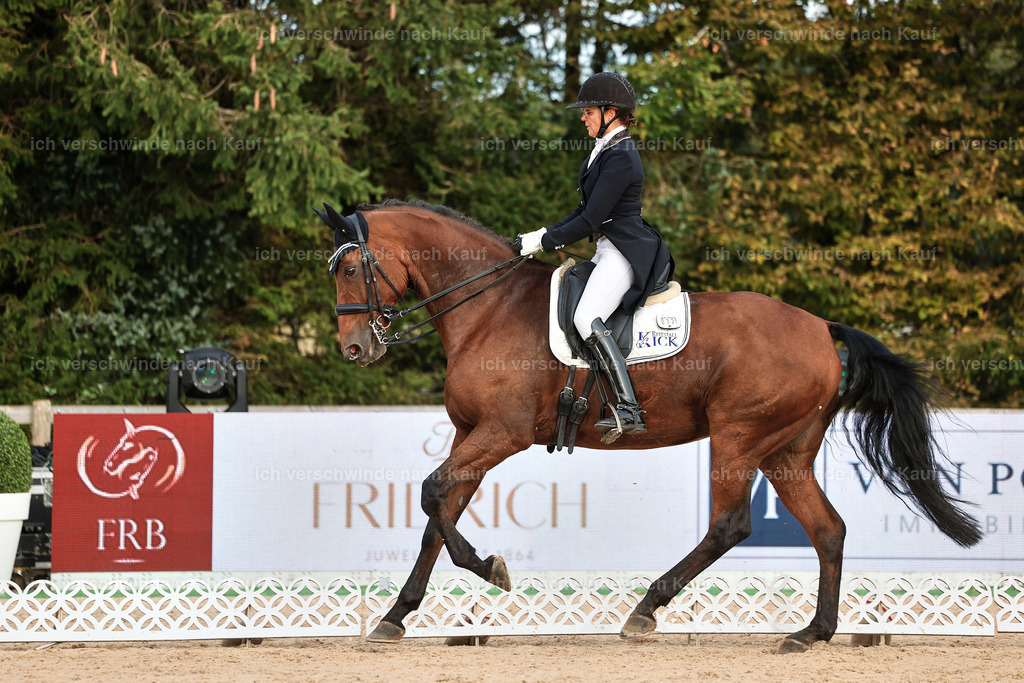 13-072-S___ -StoibPH-6994 | working equitationturnier fotograf videograf stoibphotography marixx film working equitation deutschland reitsport turnierfotografie eventfotografie equestrian events