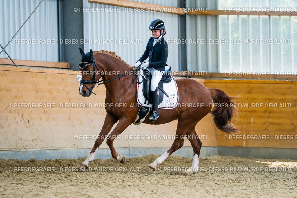 DSC05220 | Pferdegrafie