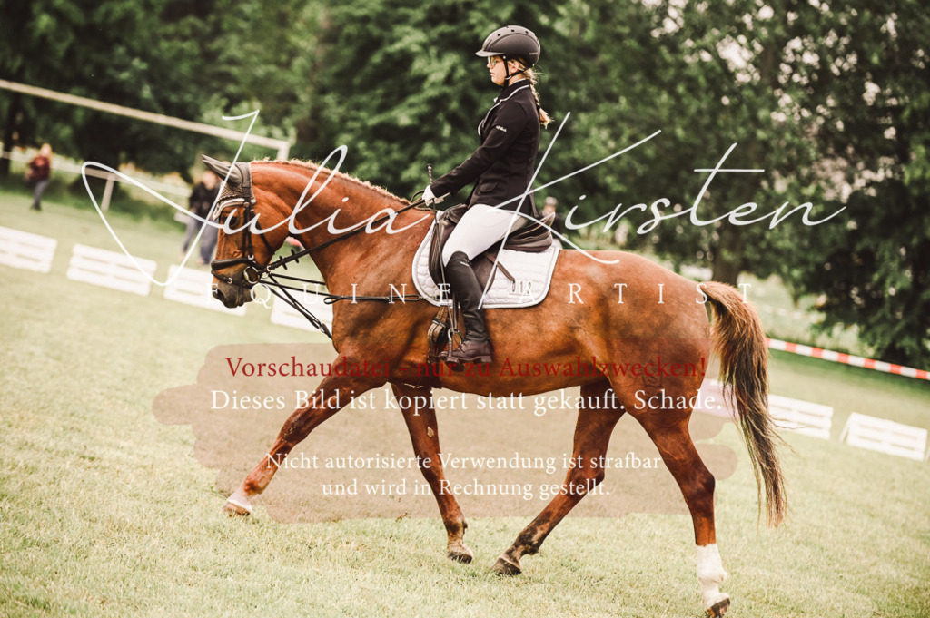 DSC_4811 | Pferde- und Turnierfotografie in Westsachsen. Pferdeportraits, Auftragszeichnungen und intuitive Kunst.