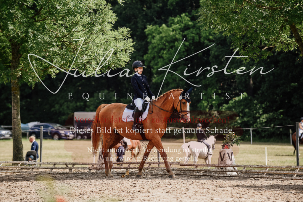 DSC_9998 | Pferde- und Turnierfotografie in Westsachsen. Pferdeportraits, Auftragszeichnungen und intuitive Kunst.