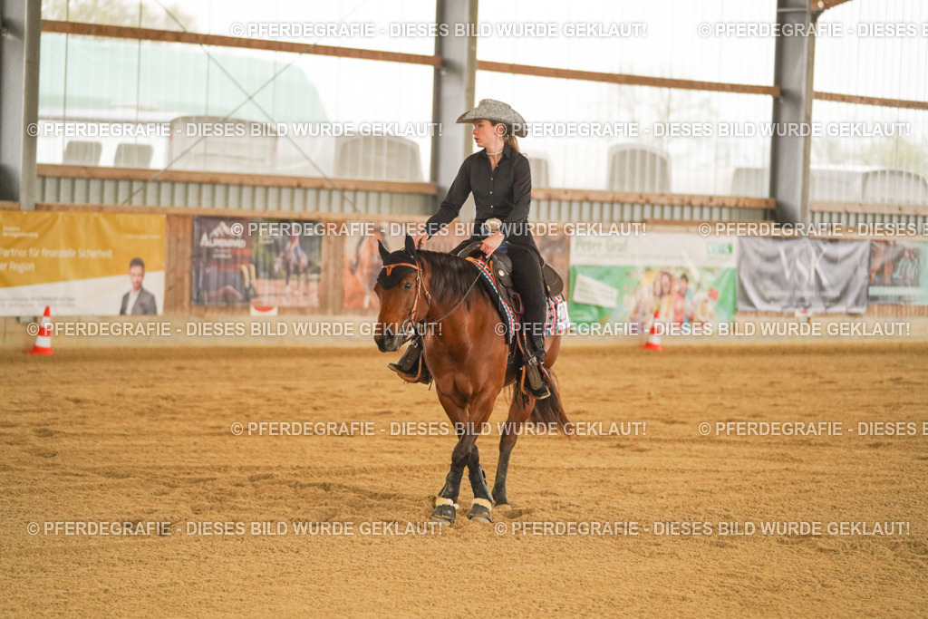 DSC09886 | Pferdegrafie