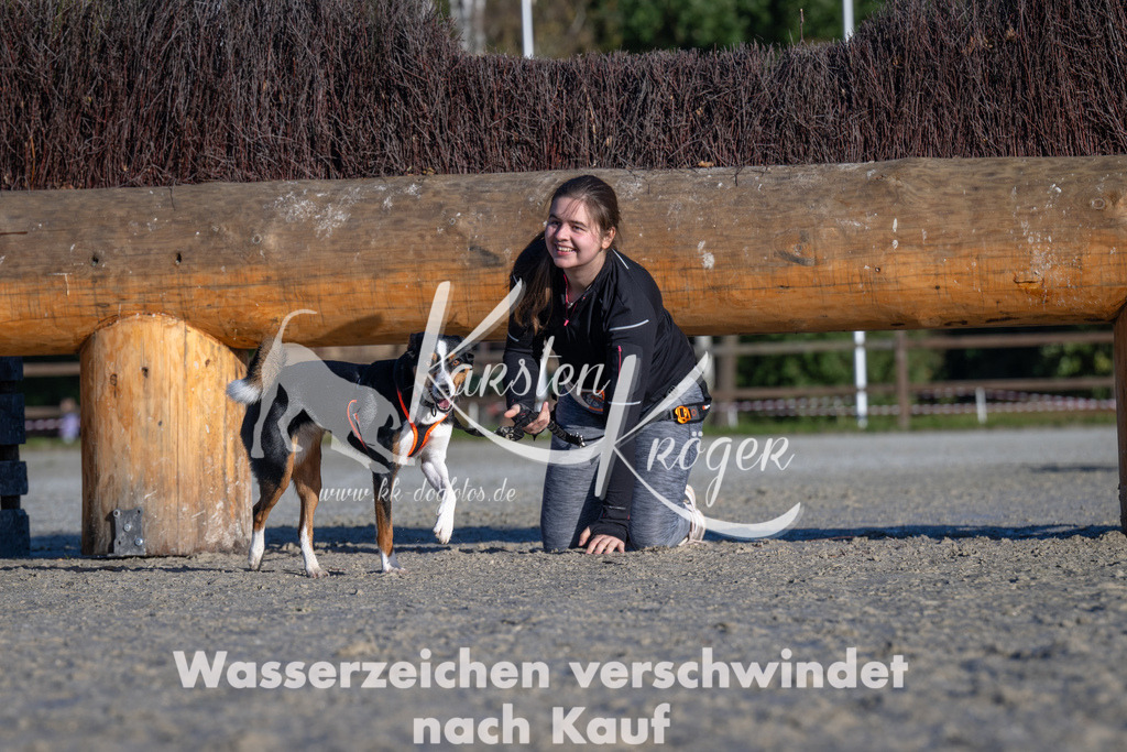 1017-_ZZ90569 | kk-dogfotos