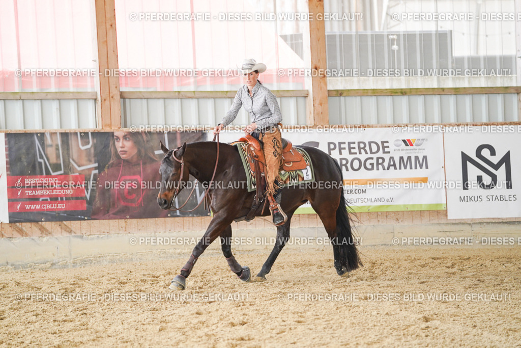 DSC02209 | Pferdegrafie