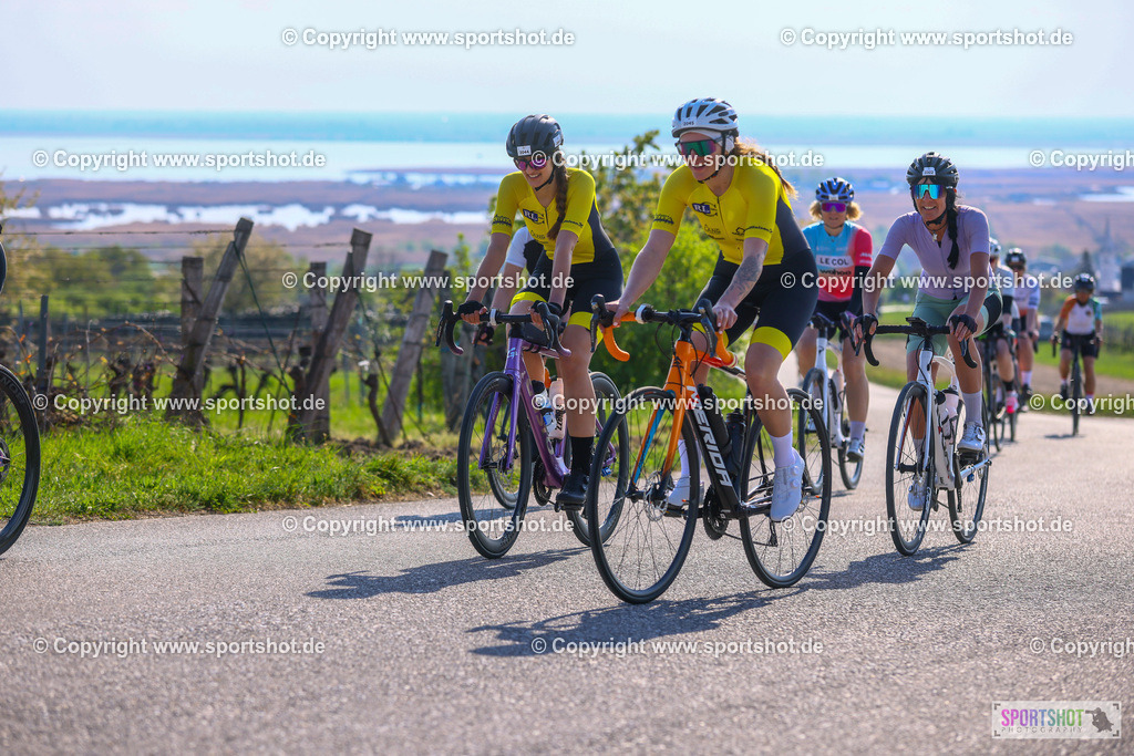 TRA_0349 | Neusiedlersee Radmarathon 2026@sportshot_your_pictrs #yourpictures#roadtowm2029 #nrm #neusiedlerseeradmarathon #neusiedlersee #neusiedlerseetourismus #burgenland #mörbisch #nrm26 #burgenlandtourismus #voglundco #poweredbyburgenlandtourismus #radsport #rad #marathon #ucigranfondo #visitburgenland #ucigranfondoworldseries