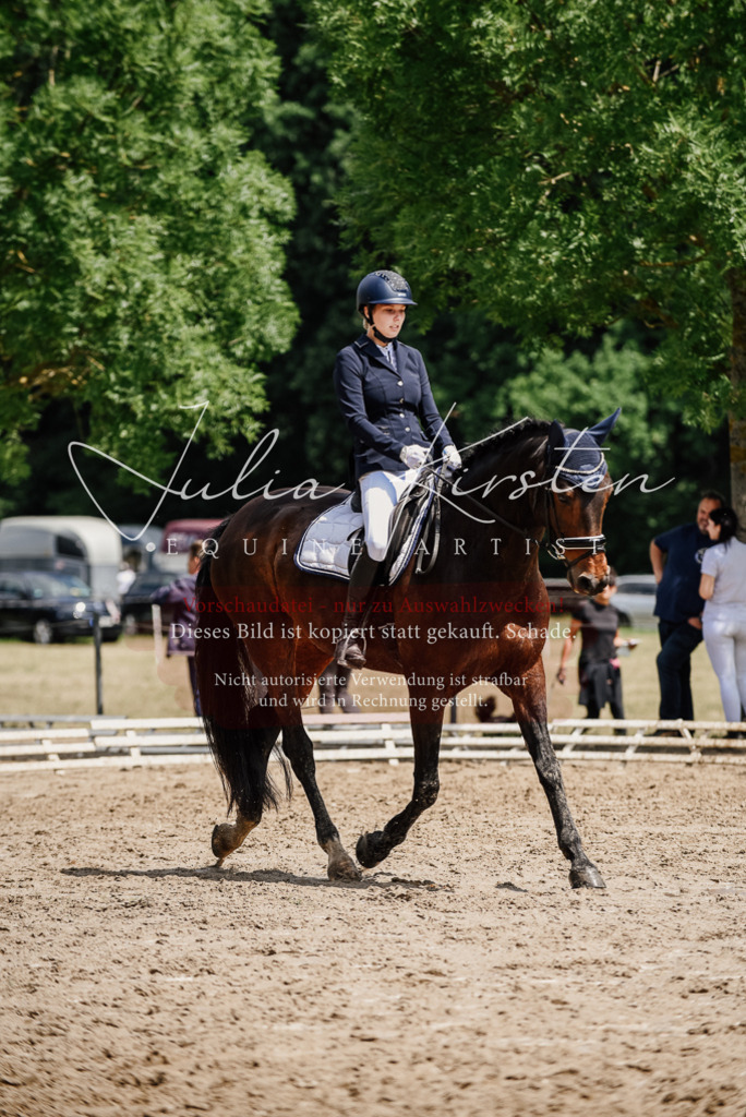 DSC_1461 | Pferde- und Turnierfotografie in Westsachsen. Pferdeportraits, Auftragszeichnungen und intuitive Kunst.