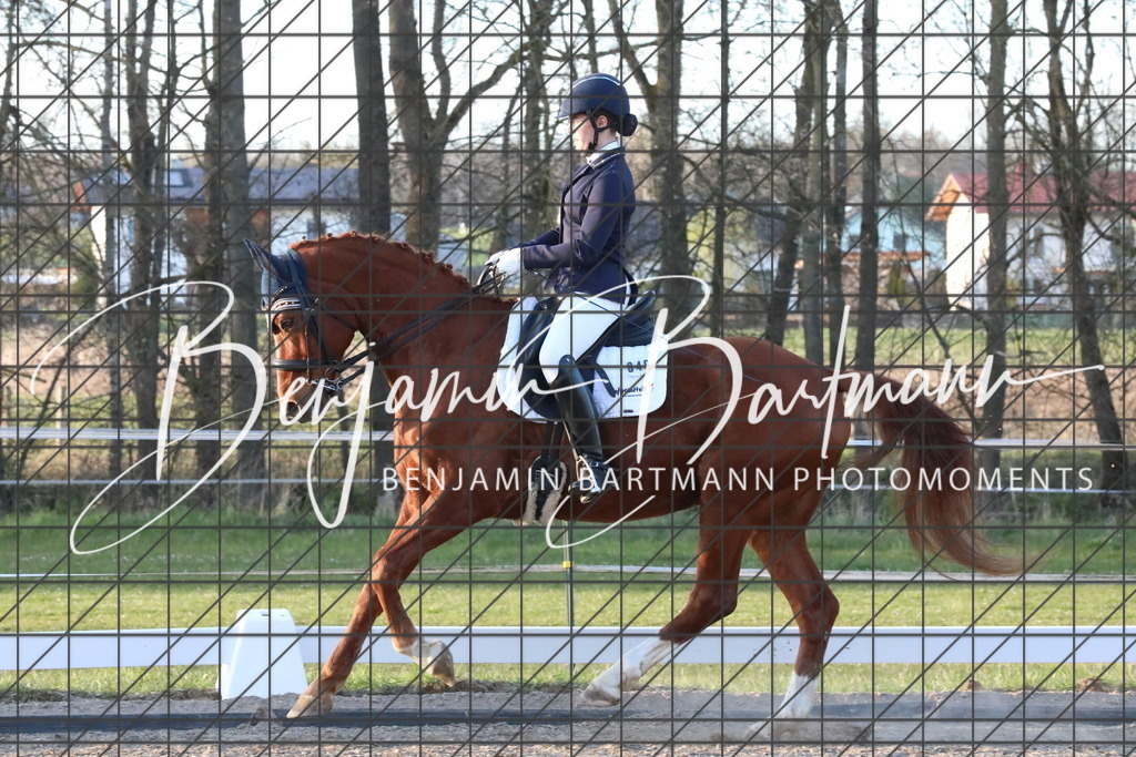 AZ2A5779 | Benjamin Bartmann Photomoments