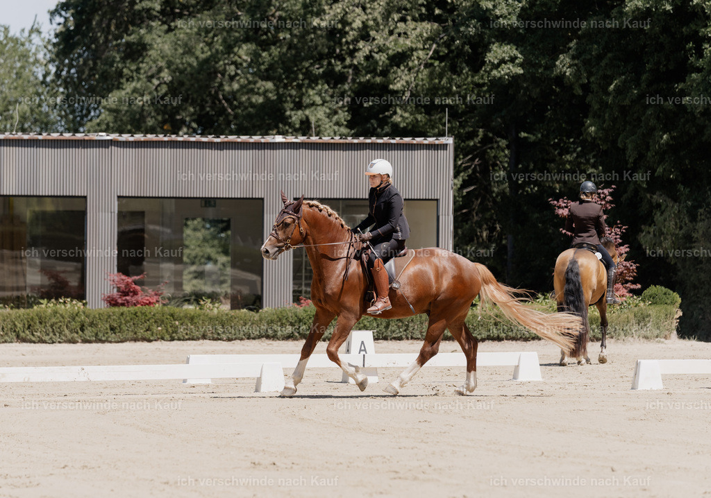 WE_DR_16_SinaFilmArt_IN02936 | working equitationturnier fotograf videograf stoibphotography marixx film working equitation deutschland reitsport turnierfotografie eventfotografie equestrian events