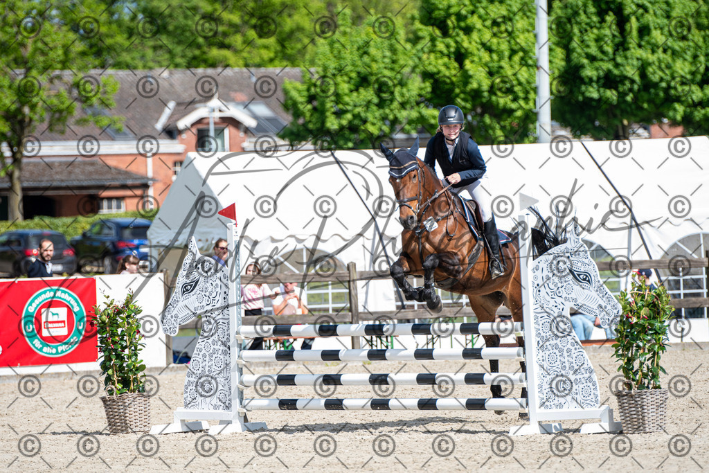 KPT_4966 | andre_photographic