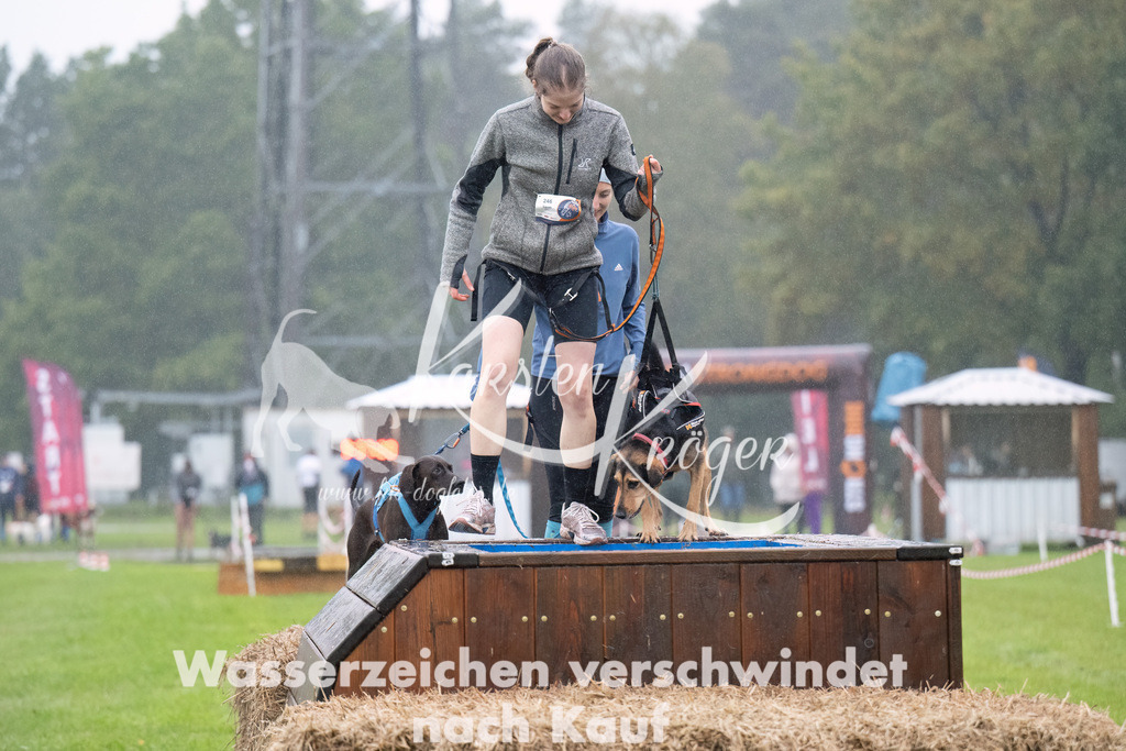 0938-_ZZ94308-Bearbeitet | kk-dogfotos