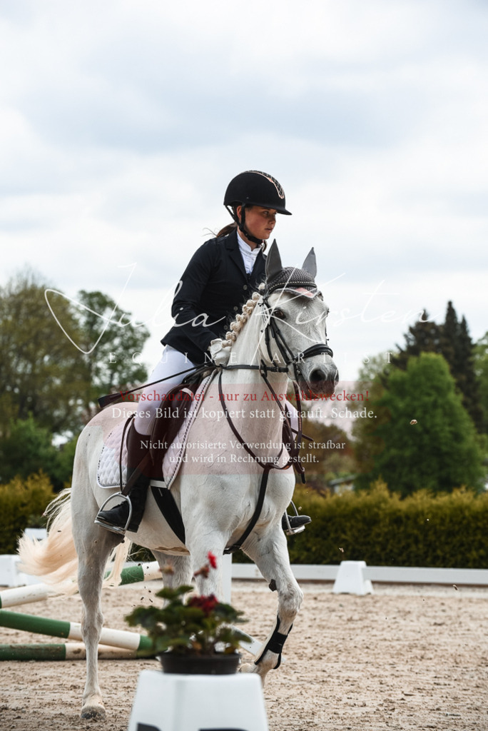 20230518_JK-Röhrsdorf-10-224 | Pferde- und Turnierfotografie in Westsachsen. Pferdeportraits, Auftragszeichnungen und intuitive Kunst.