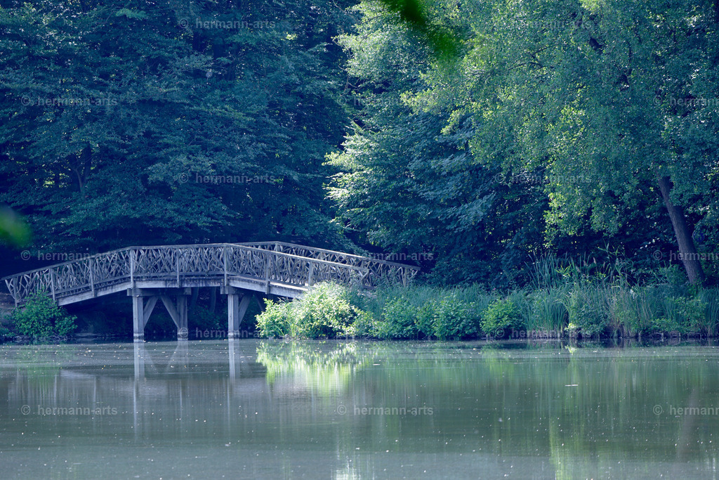 Bagno_09_07_24_DPP-79 | Photo Foto Kunst Art schwarzweiss Bilder Rheine Münster Berlin Blumen 