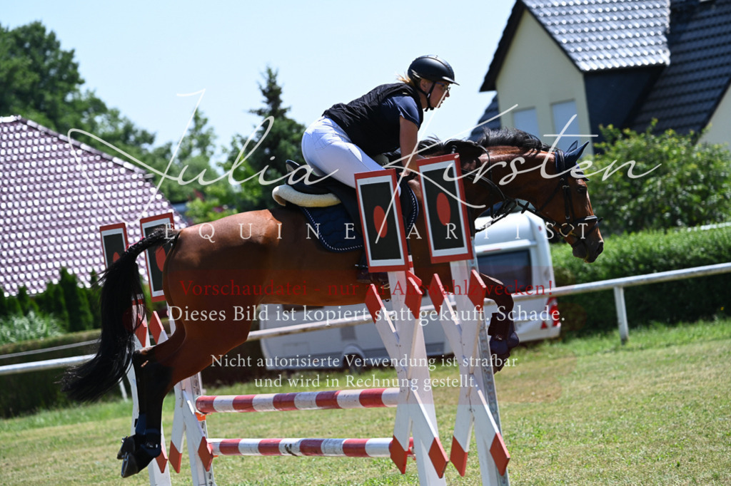 DSC_0630 | Pferde- und Turnierfotografie in Westsachsen. Pferdeportraits, Auftragszeichnungen und intuitive Kunst.
