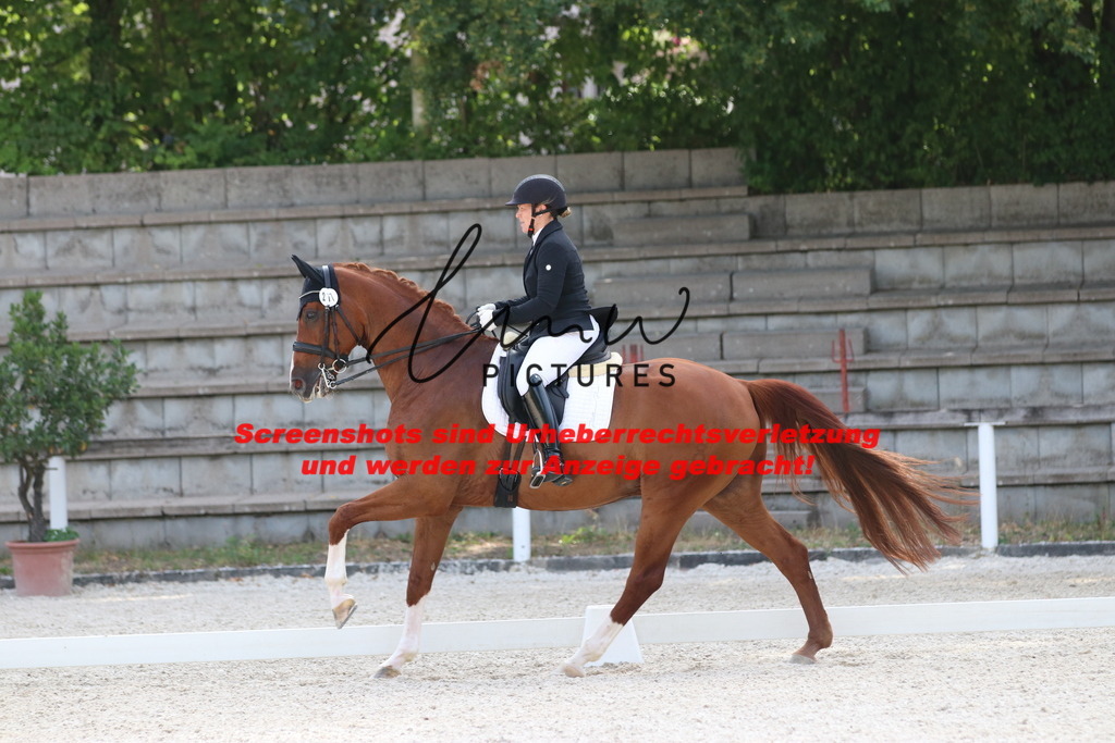 IMG_5636 | lmwpictures - Realisiert mit Pictrs.com