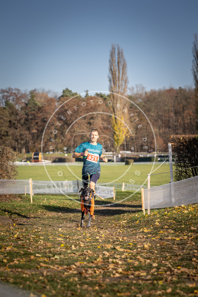 CaniXpix_DV3A9907 | Hundefotografie, Tierfotograf, Pfotenfotografie, Fotoshooting Hund, Hunde Portrait, Hundesport, Hundeportraits, Heideshooting, Hunde, Sportfotograf, Hundefotograf, Turnierhundsport, THS,  - Realisiert mit Pictrs.com