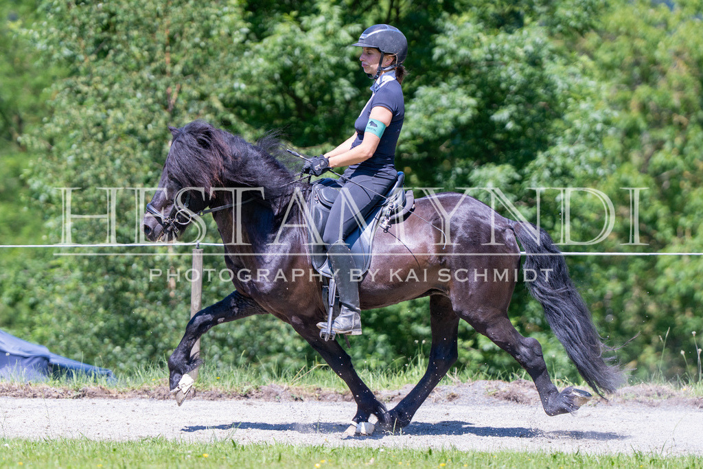 KAI09411 | Ihr sucht einen Fotografen für eure nächste OSI? Ich begleite auch euer Turnier für Islandpferde fotografisch.  - Realisiert mit Pictrs.com