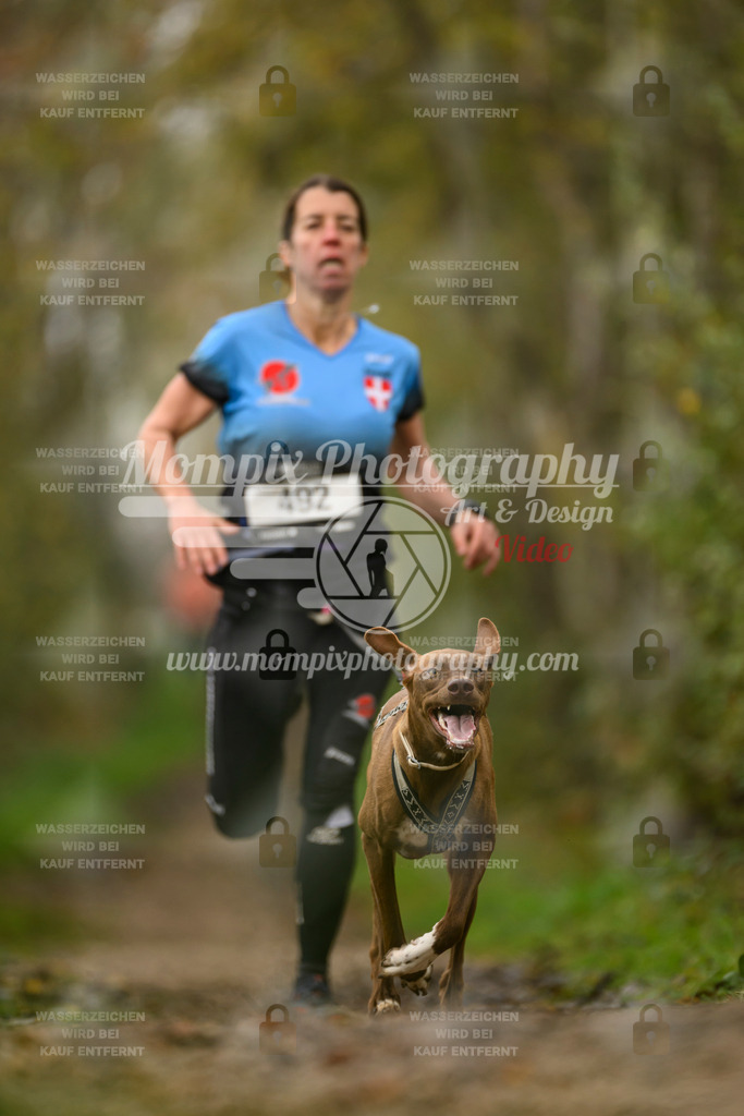 MompixPhotography_20TSB_E6_Run-76 | PayLife