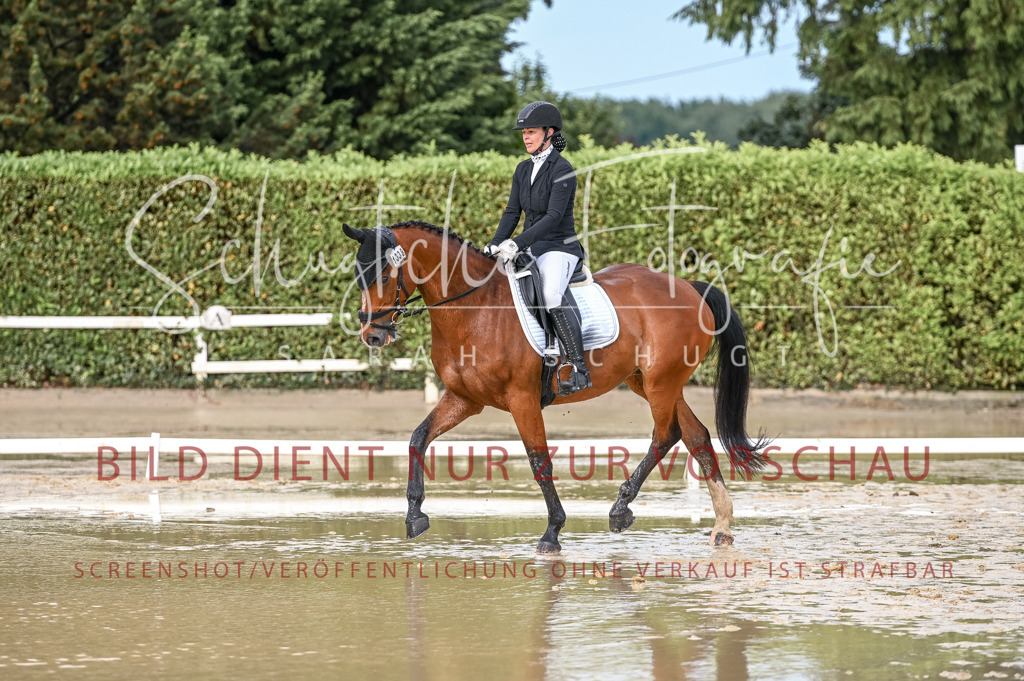 Schugtsche-Aluta25-54.Dressurprf.L1Trense-163 | Schugtsche Fotografie - Realisiert mit Pictrs.com