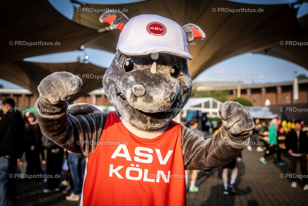 21. ASV Nachtlauf; Koeln, 08.05.24 | Impressionen vom 21. ASV Nachtlauf am 08.05.24 am Tanzbrunnen in Koeln. Foto: BEAUTIFUL SPORTS/Axel Kohring