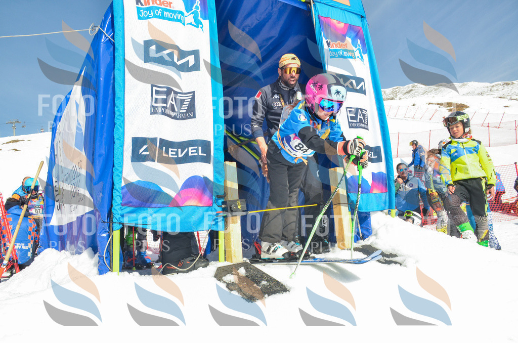 _ELE5603 | holidayphoto