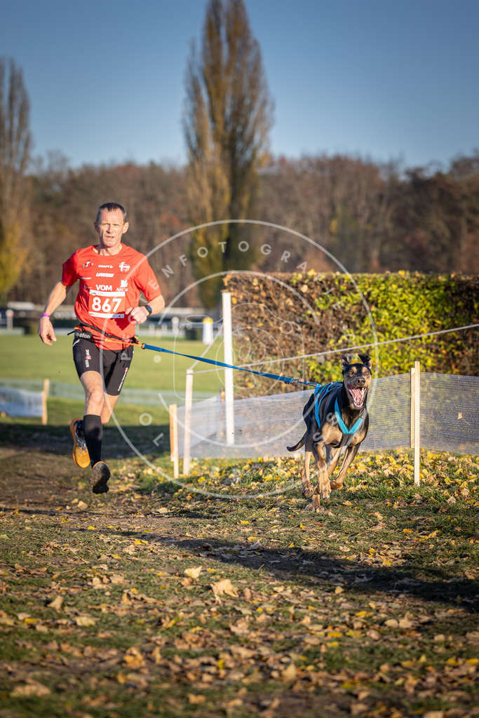 CaniXpix_DV3A4126 | Hundefotografie, Tierfotograf, Pfotenfotografie, Fotoshooting Hund, Hunde Portrait, Hundesport, Hundeportraits, Heideshooting, Hunde, Sportfotograf, Hundefotograf, Turnierhundsport, THS,  - Realisiert mit Pictrs.com