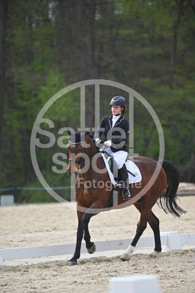 DSC_4978 | sattelsport - Realisiert mit Pictrs.com