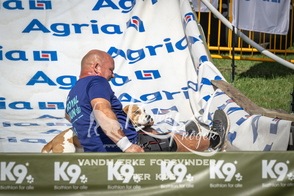 1544_ZZ97174 | kk-dogfotos