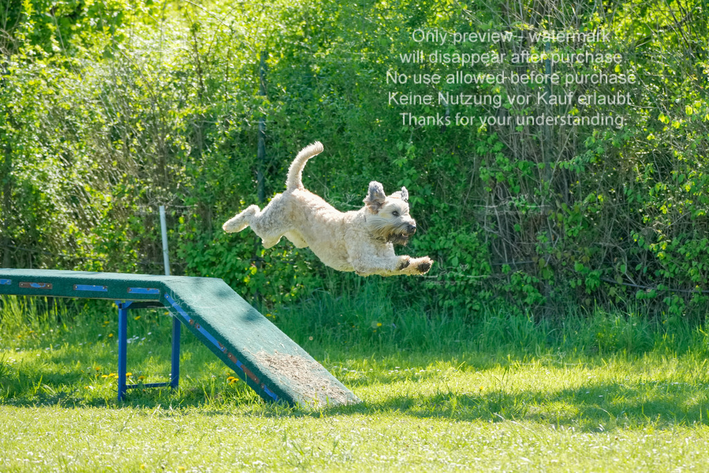 Sa_VK3_03-52 | stephaniefillaphotographie - Realisiert mit Pictrs.com