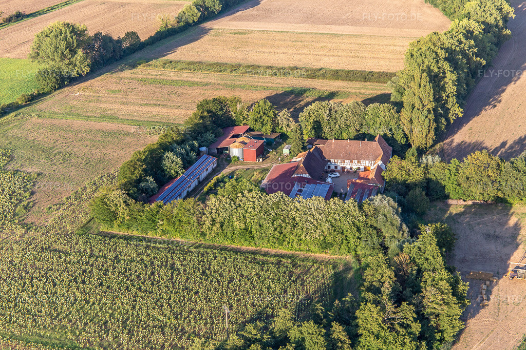 Luftbild: Leistenmühle am Erlenbach in Kandel im Bundesland Rheinland-Pfalz in Deutschland. Foto: IMG_143259.jpg vom 25.08.2024 durch Werner Riehm/FLY-FOTO.de