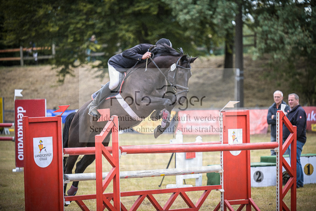 DOS_0455 | Entdecke hochwertige Reitturnierfotos von Foto Oger. Professionell, emotional und authentisch – jetzt Lieblingsmomente im Shop bestellen.Deutschlandweite Turnierfotografie. - Realisiert mit Pictrs.com