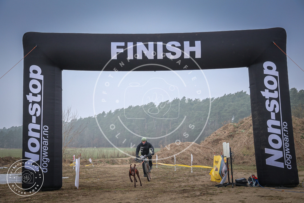 Pfotenfotografie_0L8A2477 | Hundefotografie, Tierfotograf, Pfotenfotografie, Fotoshooting Hund, Hunde Portrait, Hundesport, Hundeportraits, Heideshooting, Hunde, Sportfotograf, Hundefotograf, Turnierhundsport, THS,  - Realisiert mit Pictrs.com
