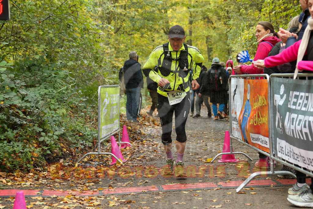 251026_1309_EX1_2709 | Sportfotografie im Rhein-Sieg Kreis, Köln, Bonn, NRW, Rheinland Pfalz, Hessen, etc. Unser Tätigkeitsfeld umfasst den Laufsport vom Volkslauf über den Marathon, Duathlon, Triathon bis zum Ultralauf wie Kölnpfad Ultra oder Schindertrail.