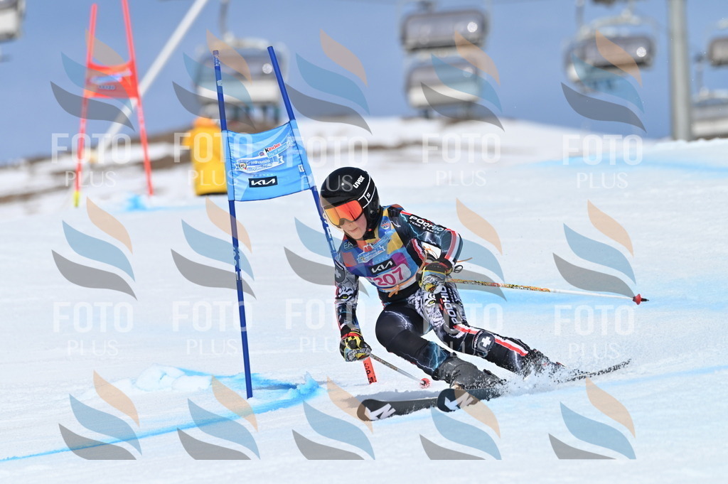 BGV_1093 | holidayphoto