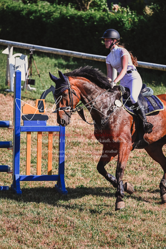 DSC_1902 | Pferde- und Turnierfotografie in Westsachsen. Pferdeportraits, Auftragszeichnungen und intuitive Kunst.
