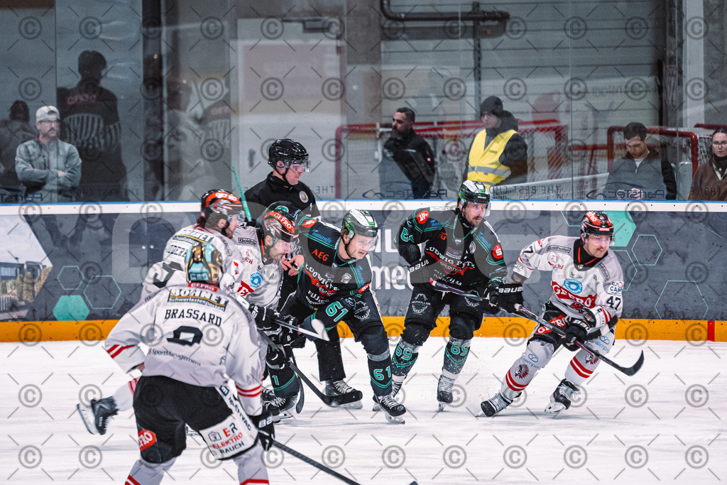 Alligators_vs_Memmingen_05_12_2025-089 | Höchstadt Alligators Fotogalerie: Eishockey-Action aus Franken. Professionelle Spielfotos, Portraits & Stadionbilder zum Download. Jetzt entdecken! - Realisiert mit Pictrs.com