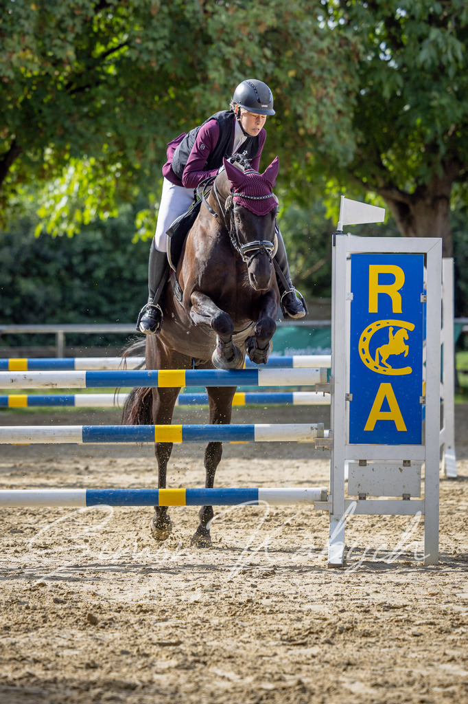 20260905-_3LI7292 | Tierfotografie Pferde, Hunde, Katzen, Haustiere.
Turnierfotografie Reitturniere, Reiten, Springreiten, Dressur in Hanau, dem Main-Kinzig-Kreis und dem Rhein-Main- Gebiet um Frankfurt