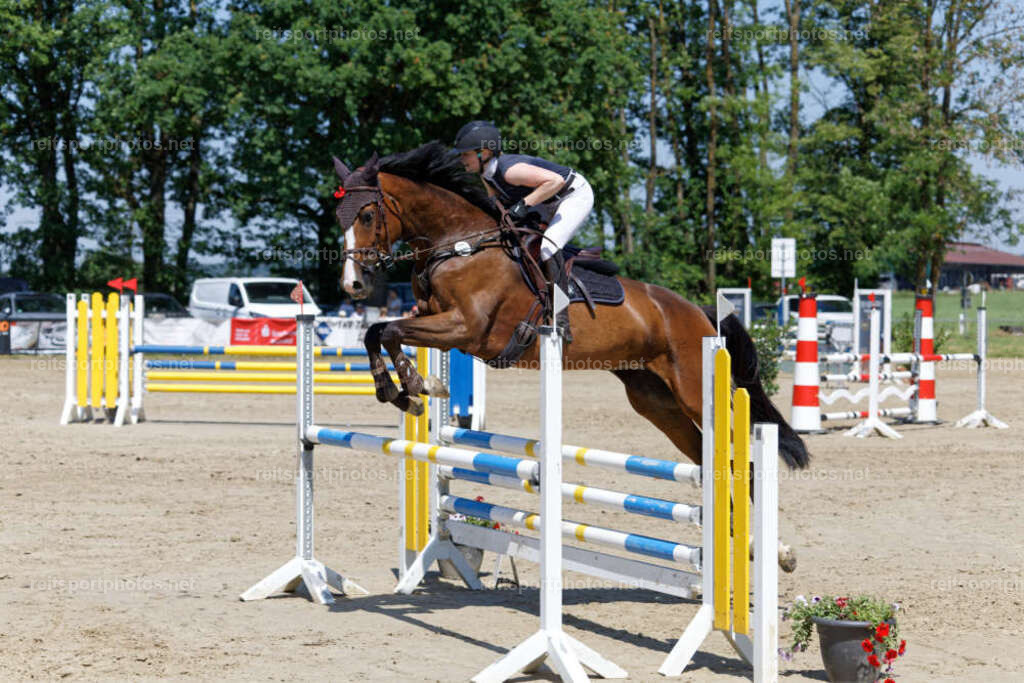 JHE31128 | JoYa Fotografie - Realisiert mit Pictrs.com