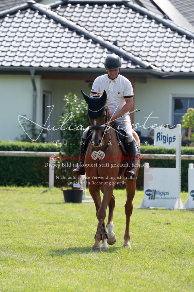 DSC_0650 | Pferde- und Turnierfotografie in Westsachsen. Pferdeportraits, Auftragszeichnungen und intuitive Kunst.